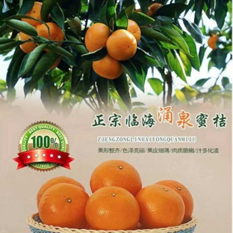 临海果蔬公司的崛起：从传统到现代化的转型之路