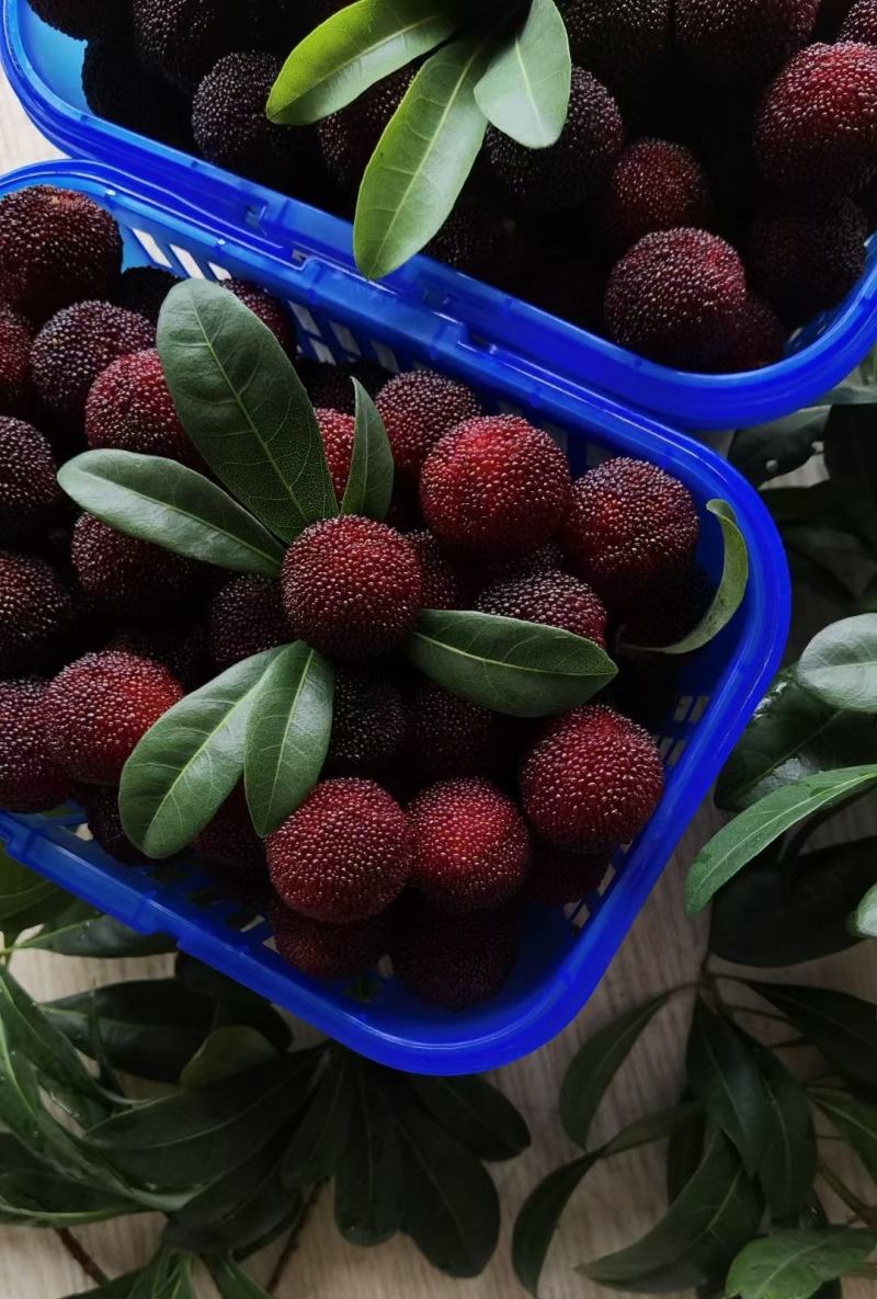 水果批发市场的选择与经营策略